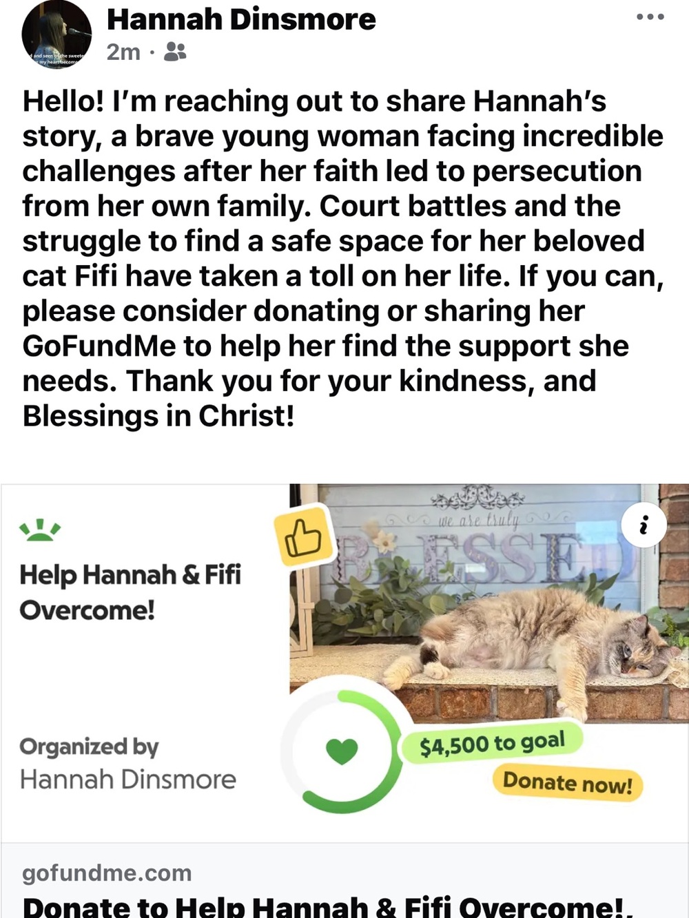 Help Hannah & Fifi Overcome!